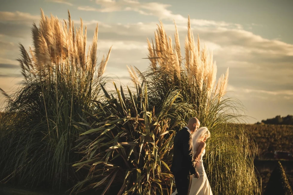 Photojournalistic vs. Fine Art: San Miguel de Allende Wedding Style